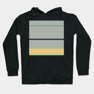 A miraculous amalgam of Greyish, Charcoal, Oxley, Laurel Green and Sand stripes. Hoodie